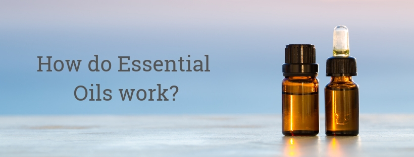 How do Essential Oils Work?